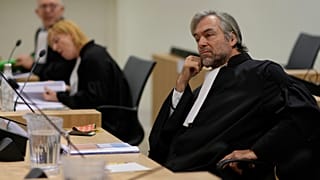 Hollanda Mahkemesi