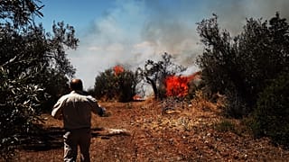 Φωτιά στα Πυργιώτικα Ναυπλίου