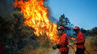 Flames encroach on homes as fires force evacuations in Serra da Estrela