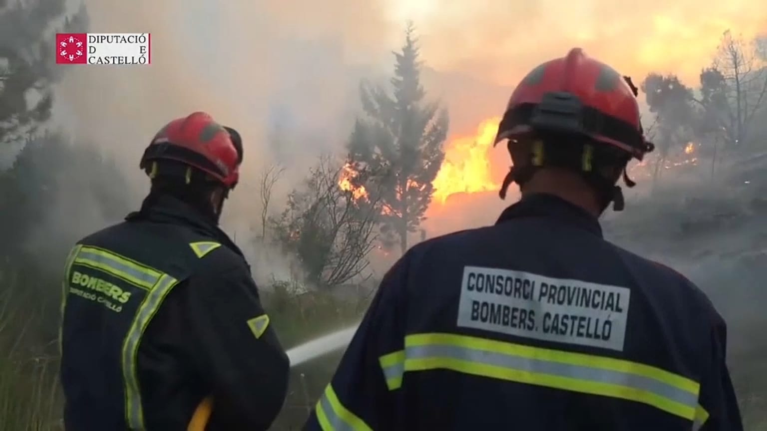 Feuerwehrleute bei der Arbeit