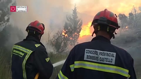 Feuerwehrleute bei der Arbeit