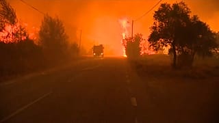 Лесной пожар в Португалии.