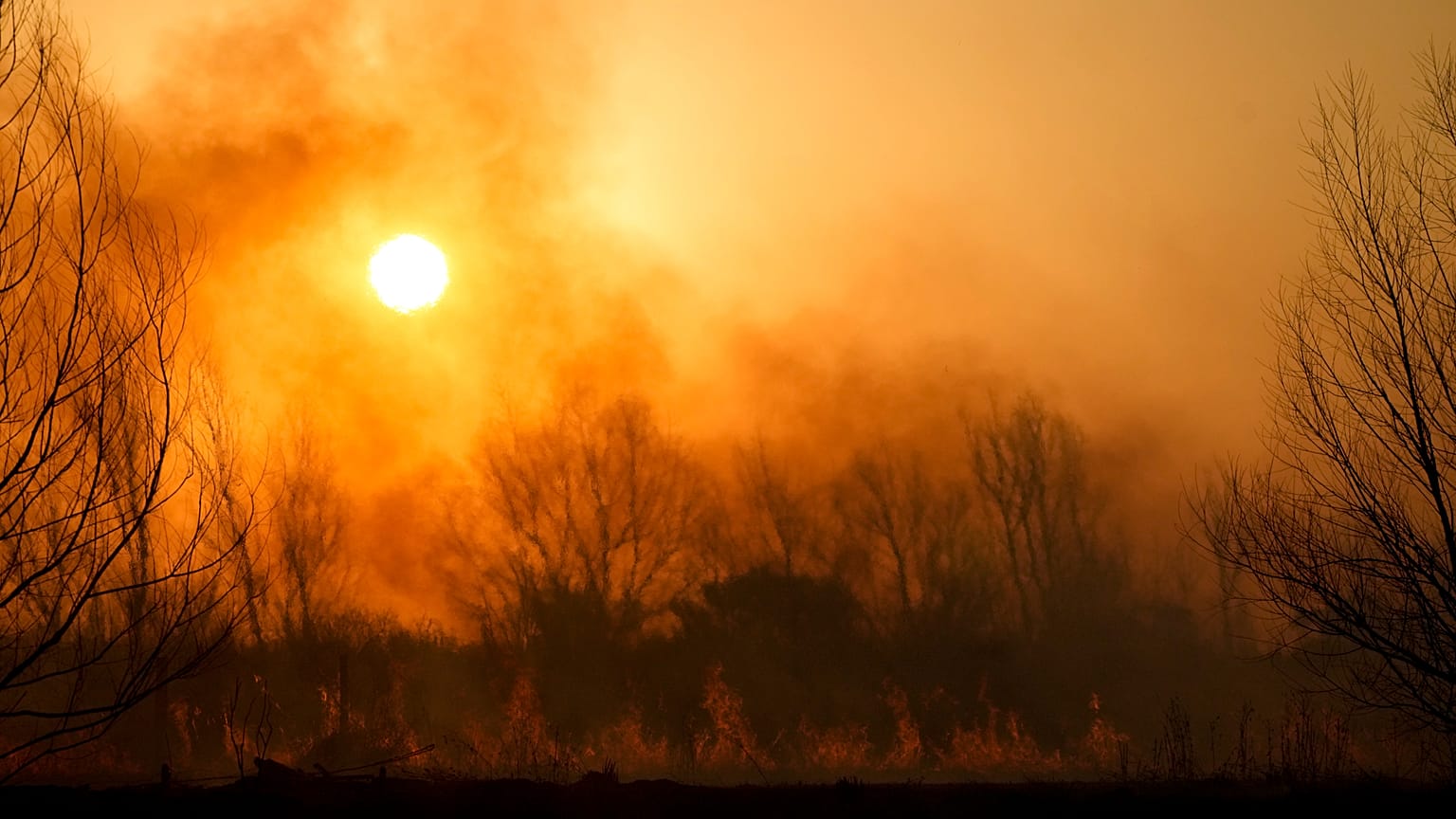 Los pastizales en llamas se ven desde las rutas que atraviesan las provincias de Santa Fe y Entre Ríos. El humo afecta a varias ciudadanes y sus habitantes. 