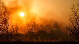 Los pastizales en llamas se ven desde las rutas que atraviesan las provincias de Santa Fe y Entre Ríos. El humo afecta a varias ciudadanes y sus habitantes. 