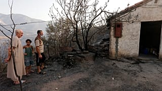حرائق الغابات في الجزائر أصبحت ظاهرة تتزايد كل عام بسبب التغير المناخي