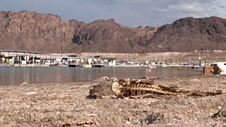 El oeste de Estados Unidos está sufriendo una sequía que ya está en su 23º año, el peor episodio en más de 1 000 años.