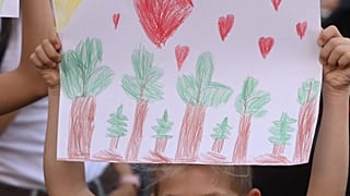 Húngaros protestam para salvar a floresta