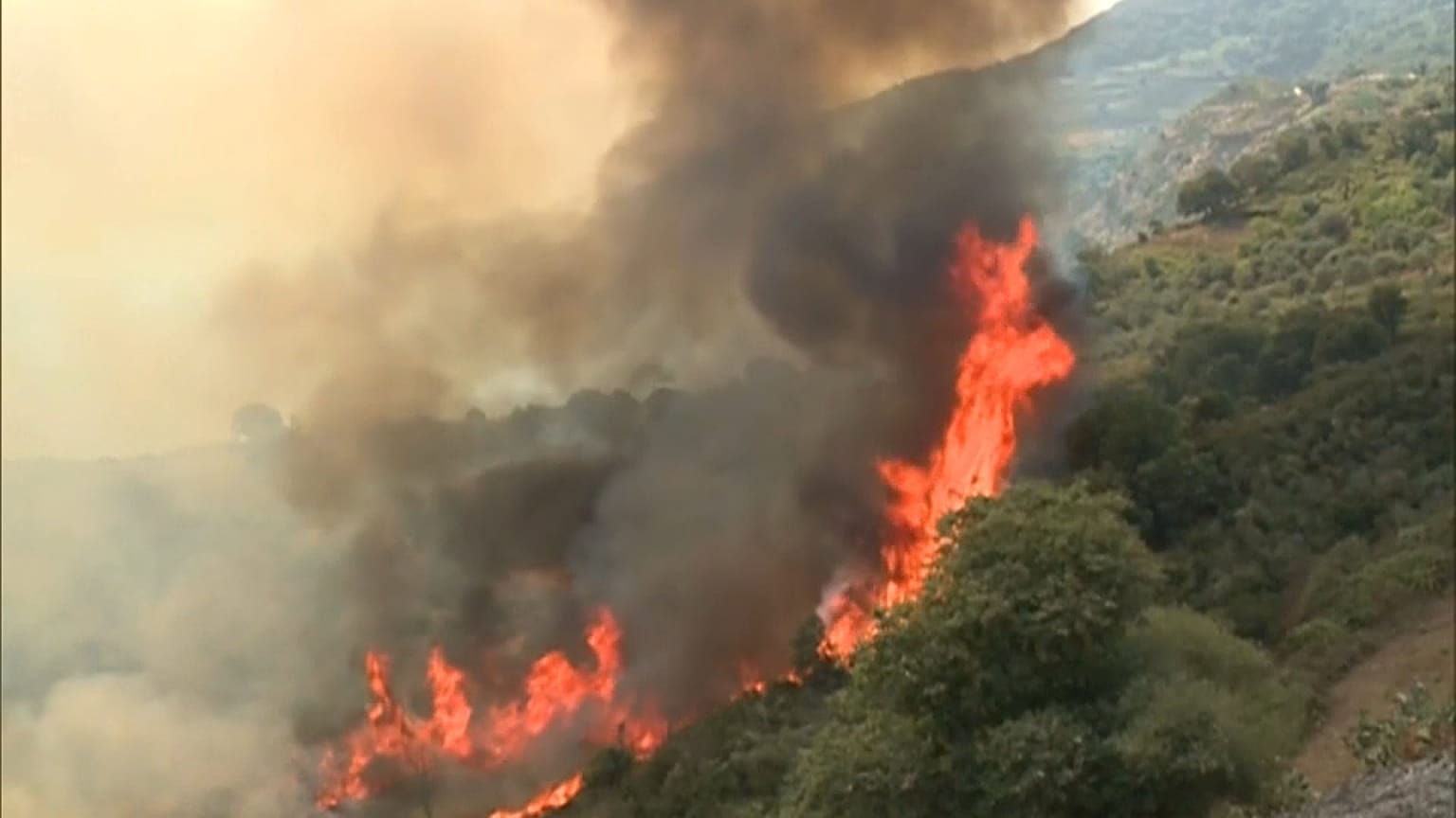 Des incendies ravageurs frappent le nord de l'Algérie, le mercredi 17 août 2022.