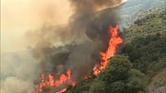 Des incendies ravageurs frappent le nord de l'Algérie, le mercredi 17 août 2022.