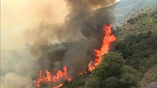 Des incendies ravageurs frappent le nord de l'Algérie, le mercredi 17 août 2022.