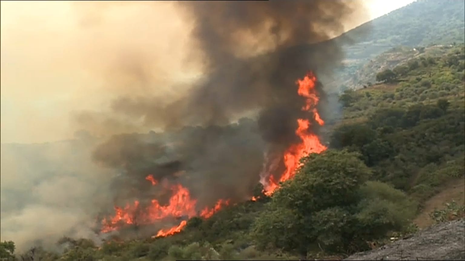 Incêndios já provocaram 26 mortes na Argélia