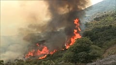 Waldbrände in Algerien