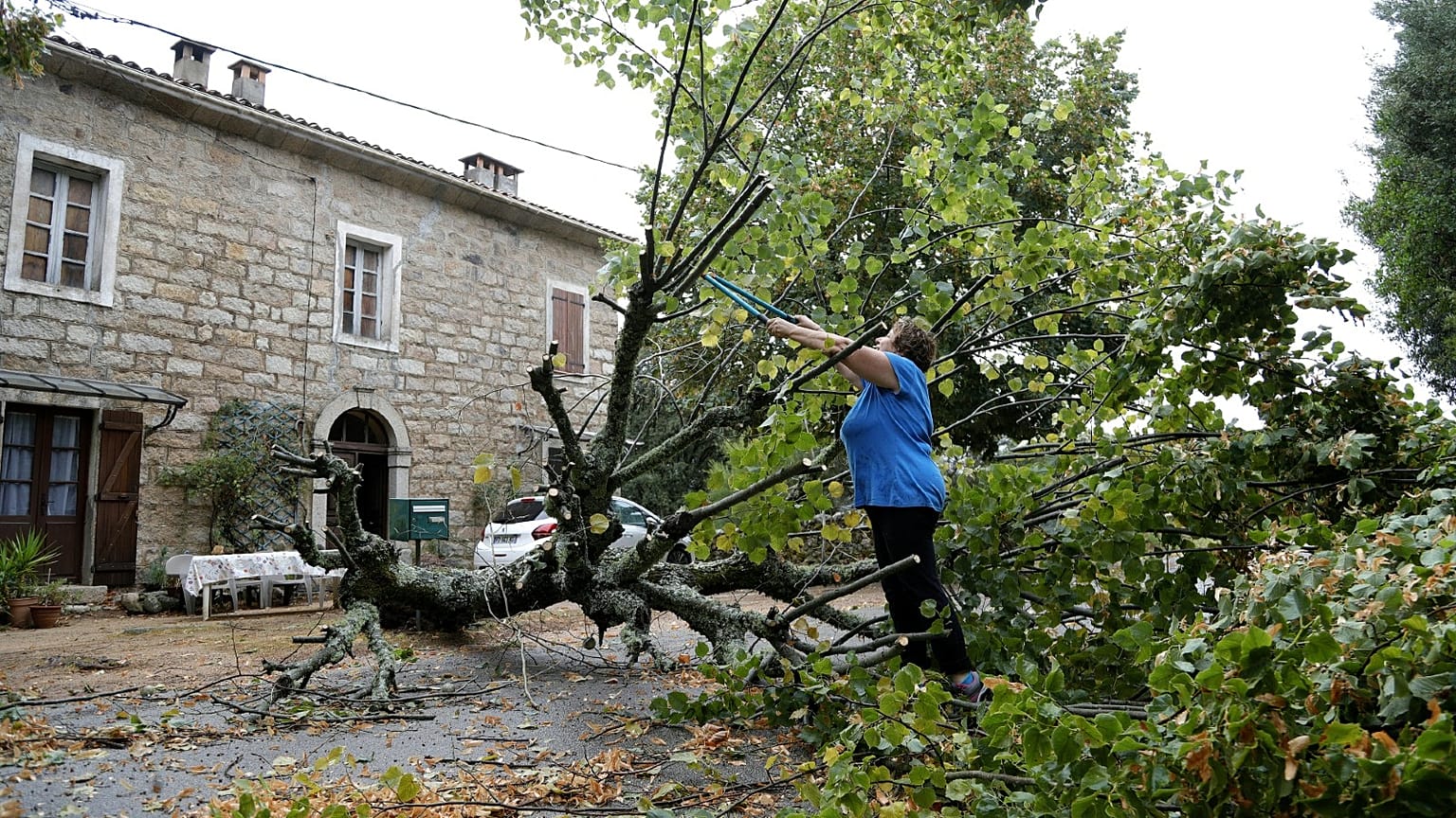 A woman starts to cut a tree which fell down in Marato, close to Cognocoli Monticchi after strong winds on the French Mediterranean island of Corsica on August 18, 2022