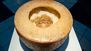 Casu Marzu – maggot-infested cheese from Sardinia is displayed at the Disgusting Food Museum in Malmo, Sweden