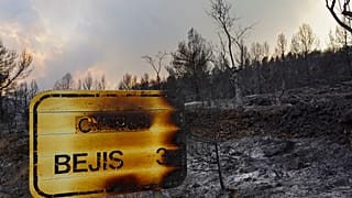 Una señal carbonizada durante un incendio forestal cerca de Bejís, en el este de España