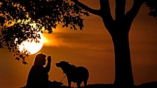 O conselho repete-se todos os anos: Independentemente das circunstâncias, respeitar os amigos (incluindo de quatro patas) é uma obrigação.