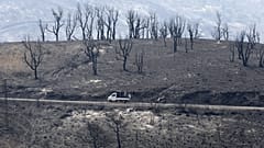 Ein Auto fährt durch eine von Bränden gekennzeichnete Landschaft