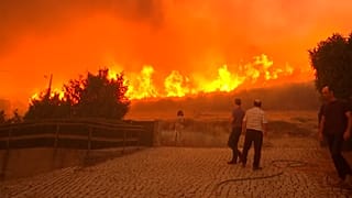 الحرائق تشتعل في غابة بمدينة جوفيا البرتغالية 18/08/2022