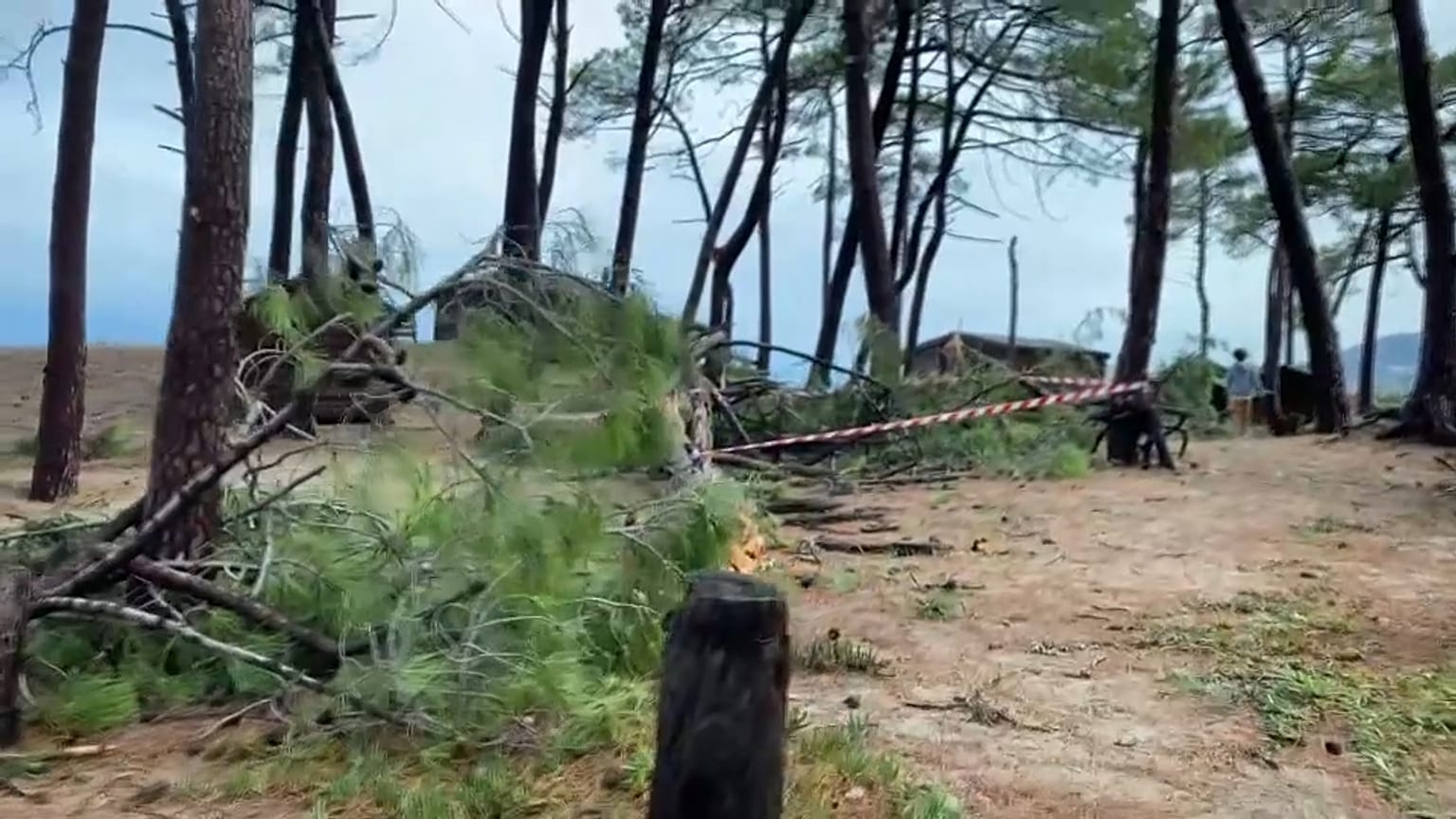 Corse