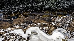 Forever chemicals, which don’t break down in the environment, accumulate in the soil and waterways, contaminating them.