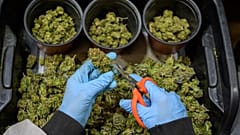 Cannabis usage is currently illegal in Switzerland except for medical exceptions