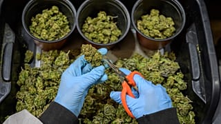 Cannabis usage is currently illegal in Switzerland except for medical exceptions