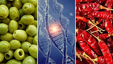 The reasons why people love certain foods and turn their noses up at others, has to do with more than their cultures or even their taste buds