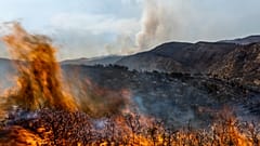 In der spanischen Provinz Valencia wüten weiterhin die Waldbrände