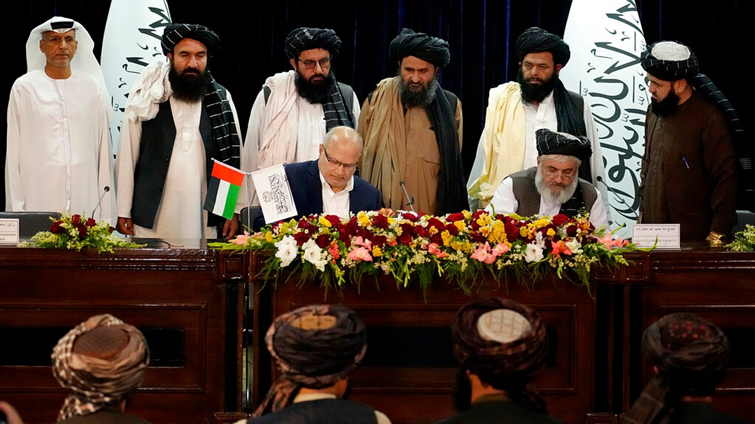 عکس تزیینی است
