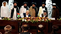 عکس تزیینی است