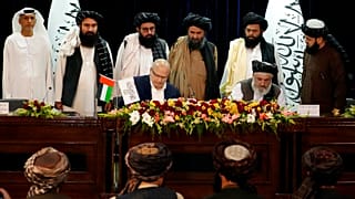 عکس تزیینی است