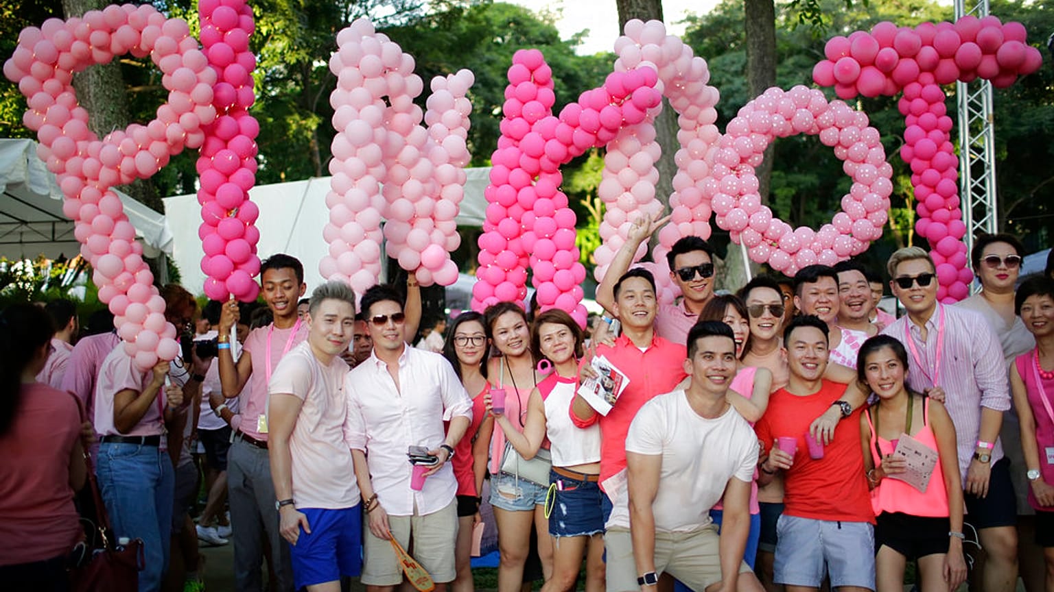 Singapur'da her yıl düzenlenen "Pembe Nokta" eşcinsel onur etkinliği için bir parkta toplanan kalabalık