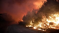 Лесной пожар у дороги в национальном парке Серра-де-Эштрела в Португалии 18 августа 2022