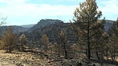 En la provincia española de Valencia el incendio forestal es controlado