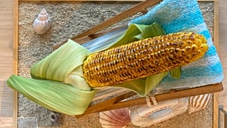 Japan's plastic food artists get creative