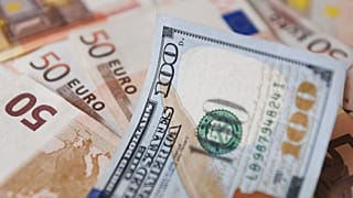 Des billets de 50 euros et un billet de 100 dollars