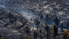 Forêt calcinée près d’Altura, à l’est de l’Espagne, le 19 août 2022.
