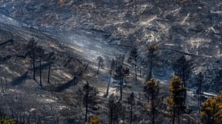 Forêt calcinée près d’Altura, à l’est de l’Espagne, le 19 août 2022.