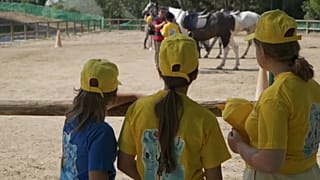 La cuestión del idioma es uno de los retos más importantes. La mayoría de los niños no hablan inglés. Los traductores de habla ucraniana y rusa ayudan a la comunicación.
