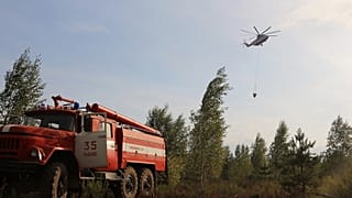 Wildfires have been burning in the Ryazan region near Moscow for several days.