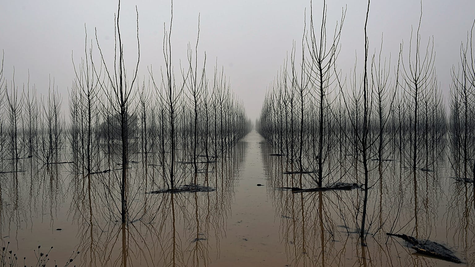 El río Ebro a su paso por la localidad de Alcalá de Ebro durante las inundaciones de 2021