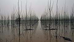 El río Ebro a su paso por la localidad de Alcalá de Ebro durante las inundaciones de 2021
