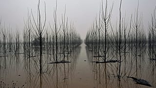 El río Ebro a su paso por la localidad de Alcalá de Ebro durante las inundaciones de 2021