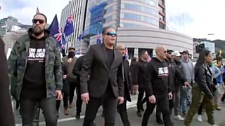 Protestzug in Wellington