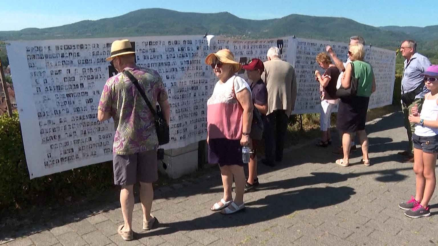 France pays tribute to the "Malgre-nous"