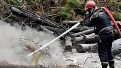A firefighter sprays water to put out the remains of fires in a burnt forest, in Hostens, in southwestern France. 