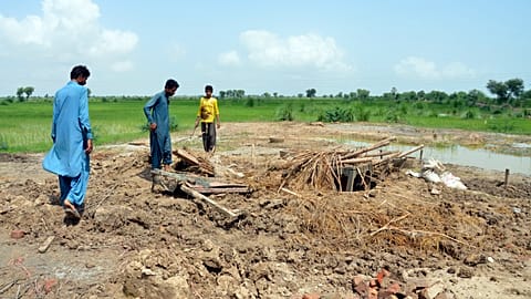 Pakistan