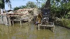 Casa sumergida por las fuertes precipitaciones en Pakistán