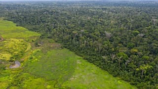 Brazil Environment