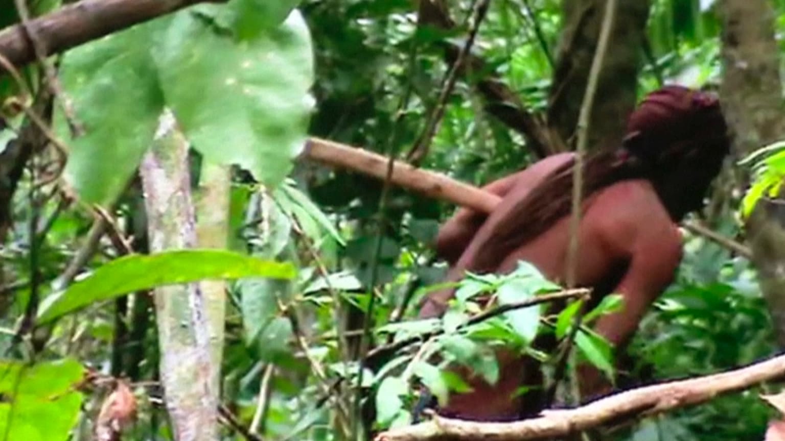 Imagen del "Indio Tanaru" en la Amazonía brasileña